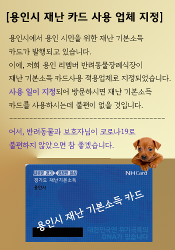 용인시 재난카드 사용 업체