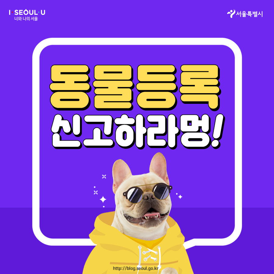 반려동물 자진등록 안하면 9월부터 과태료