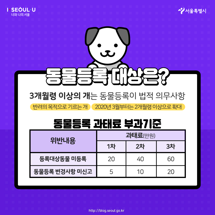 반려동물 자진등록 안하면 9월부터 과태료