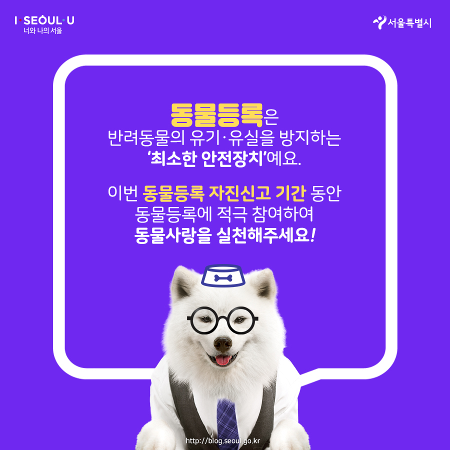 반려동물 자진등록 안하면 9월부터 과태료