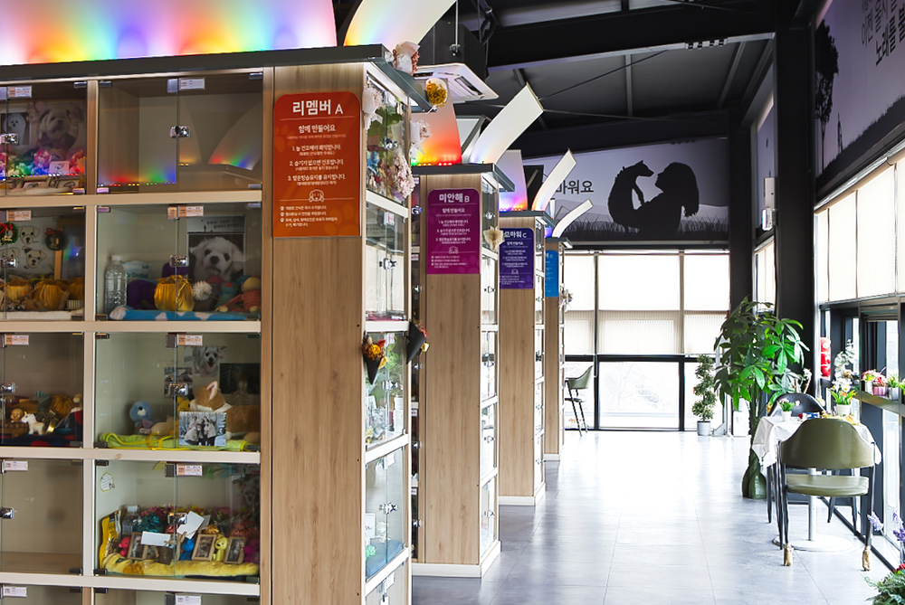 메인 비주얼 이미지 04