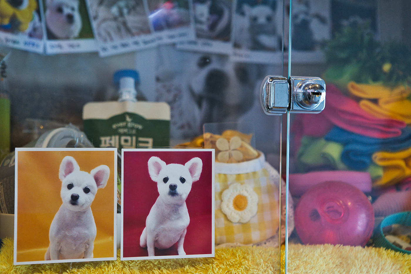 리멤버봉안실 갤러리