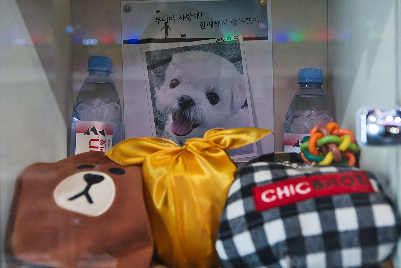 리멤버봉안실 갤러리