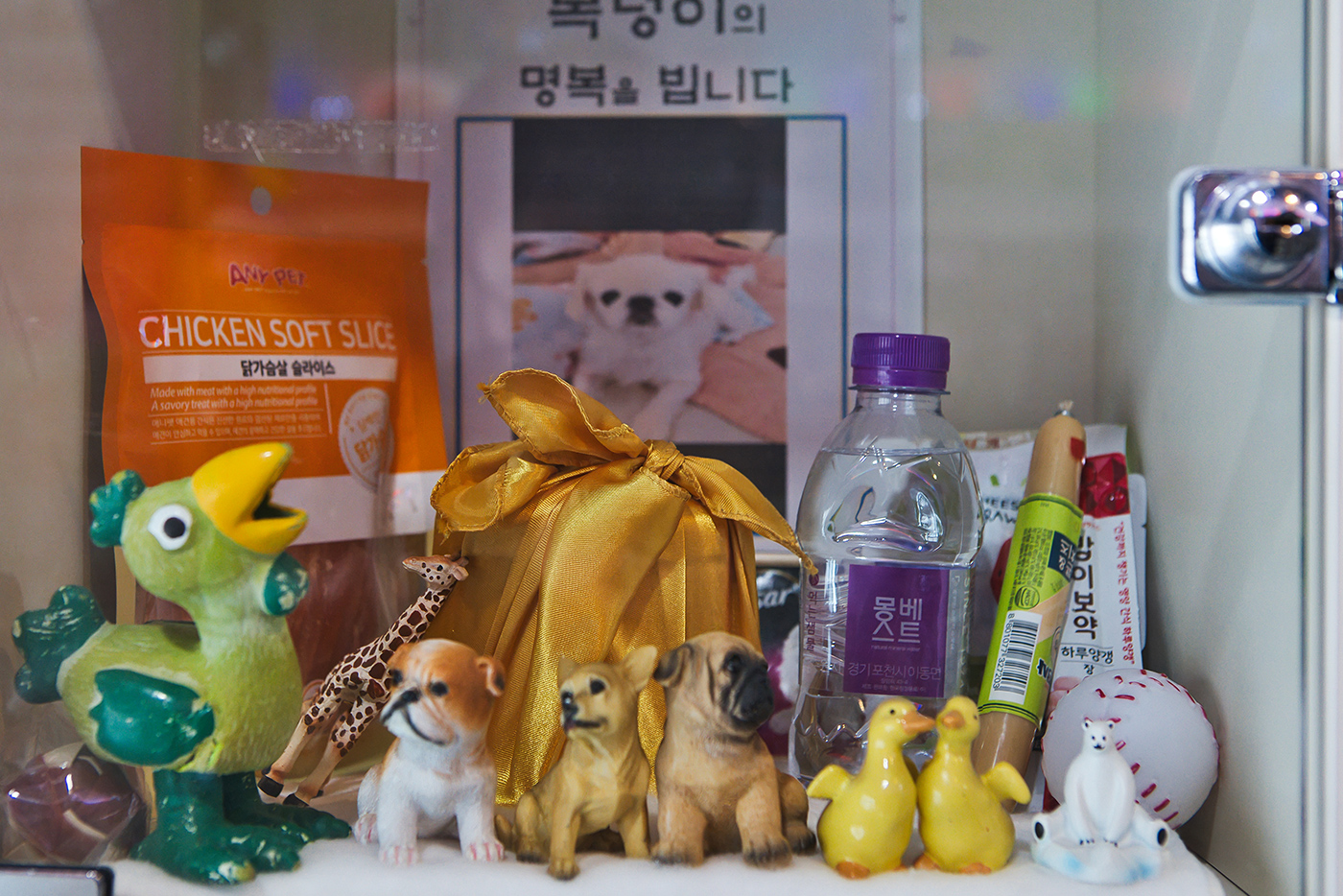 리멤버봉안실 갤러리