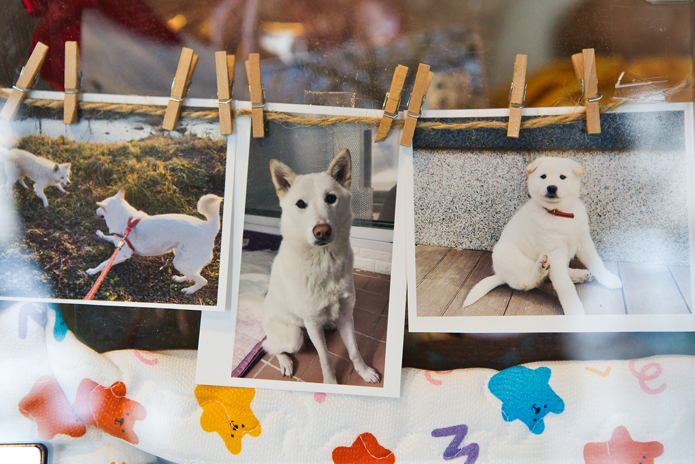 리멤버봉안실 갤러리