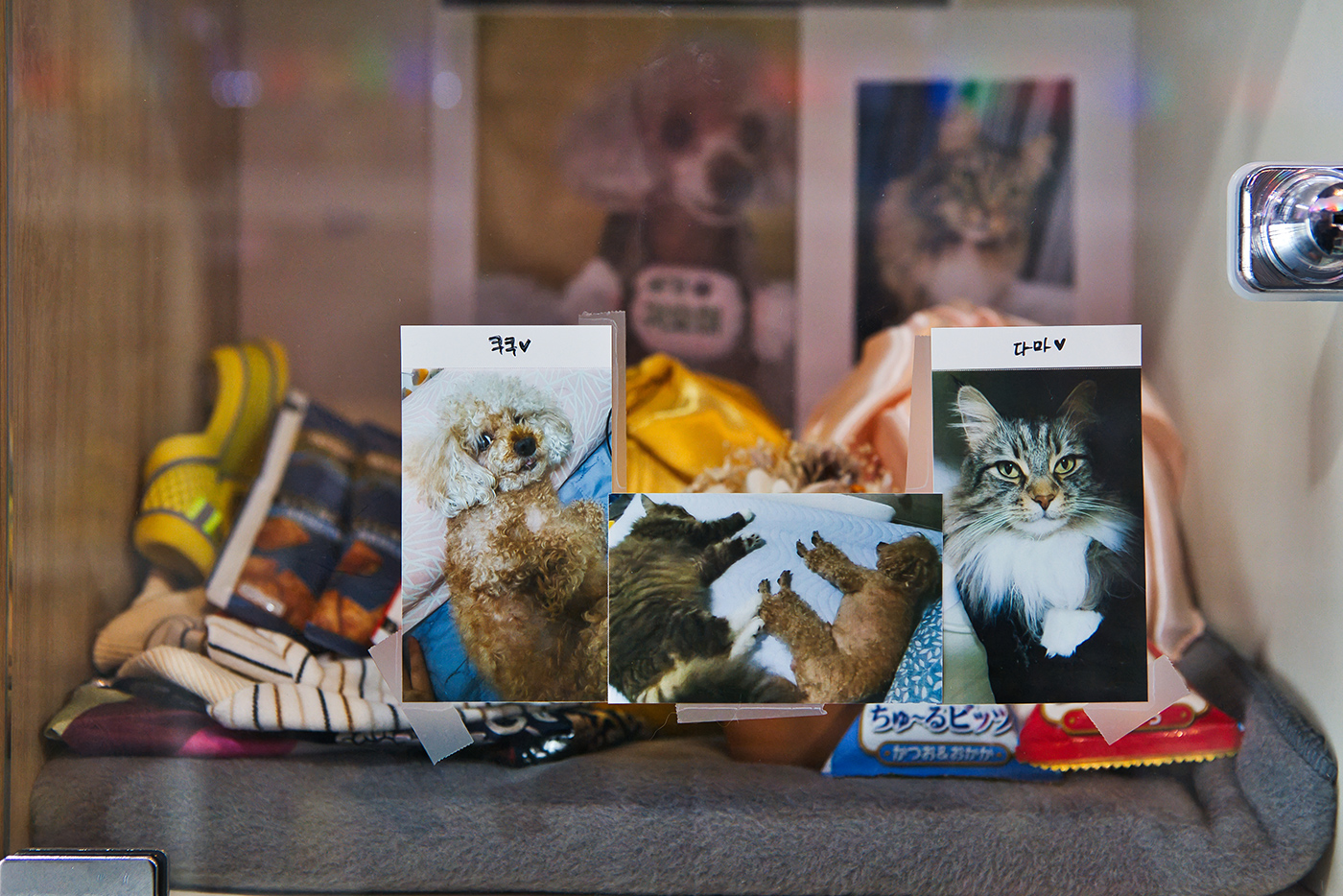 리멤버봉안실 갤러리