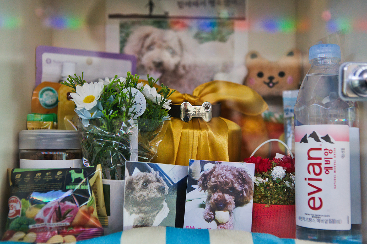 리멤버봉안실 갤러리