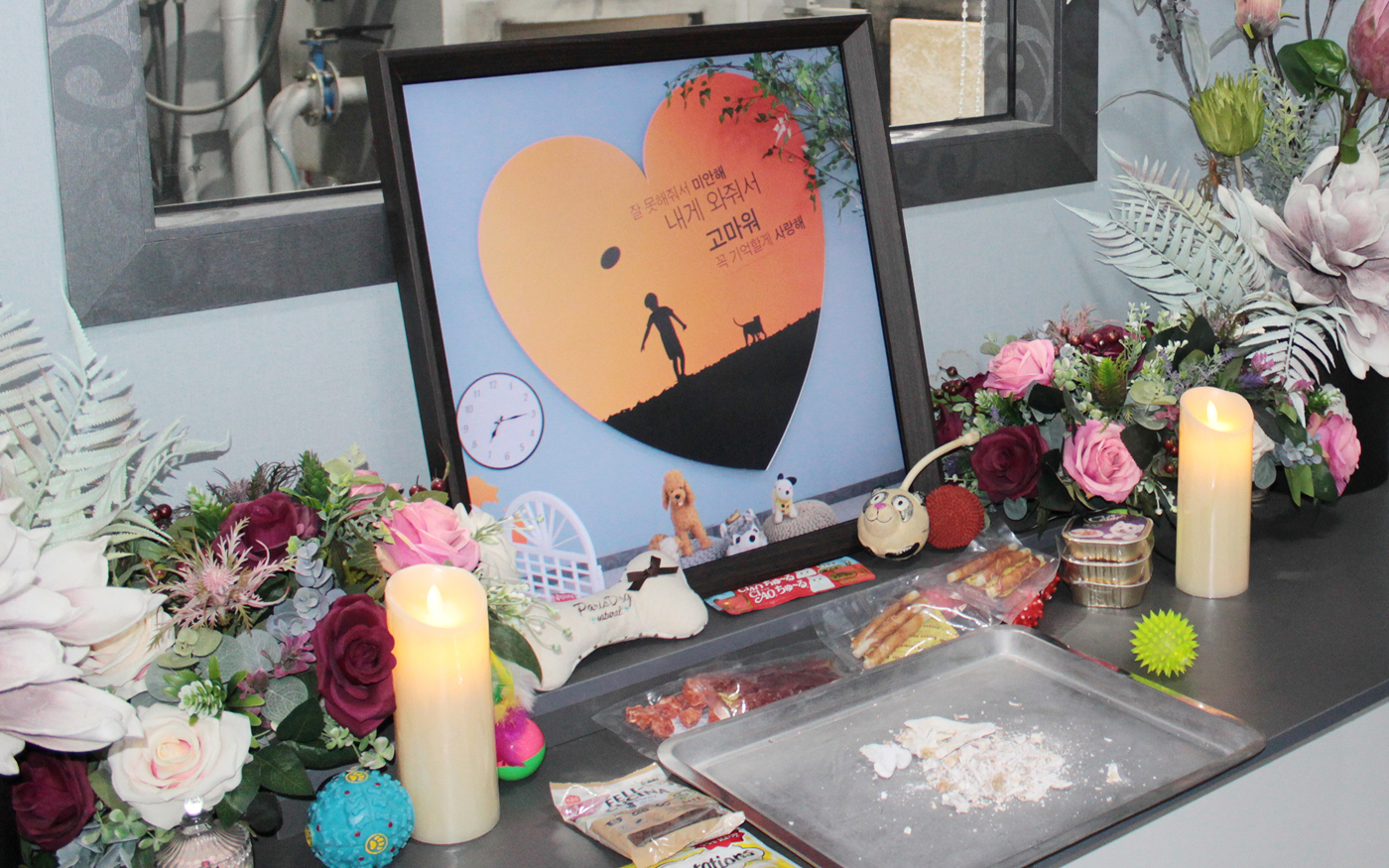 화장 이후 유골확인 및 추모