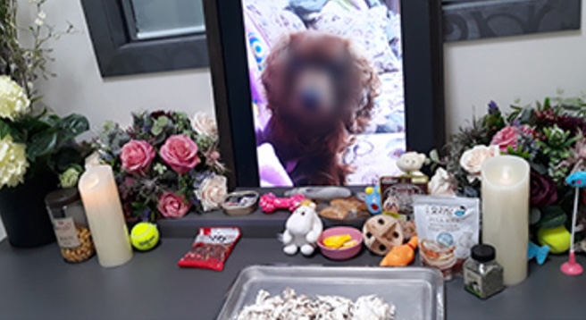 디지털 영정